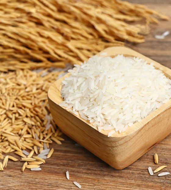 PG Commodities authentic Basmati rice – premium and export-grade quality